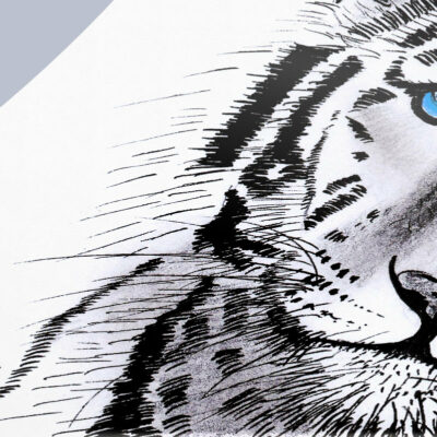 Tigre blanc