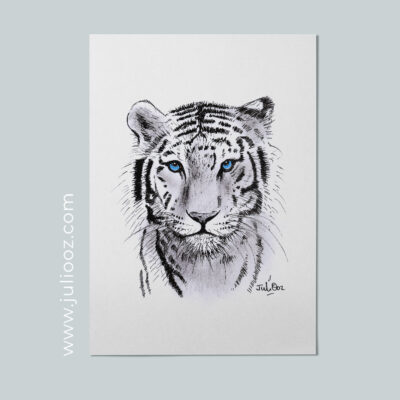 Tigre blanc