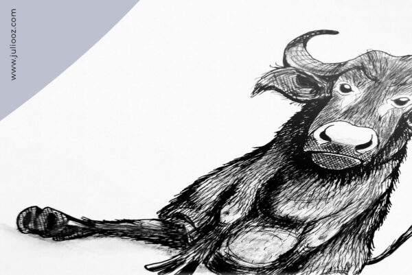Illustration en noir et blanc d’un buffle de face – Juliooz